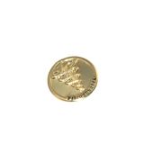 Broche Botton Fisioterapia Fisioterapeuta Folheado 18k