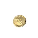 Broche Botton Contabilidade Profissão Folheado Ouro 18k