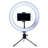 Led Para Fotos Ring Litgh 26cm