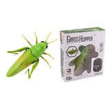 1 Conjunto De Gafanhoto Modelo Crianças Brinquedo Truque Brinquedos Simulados Gra