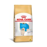 Ração Royal Canin Golden Retriever Para Cães Filhotes - 3kg