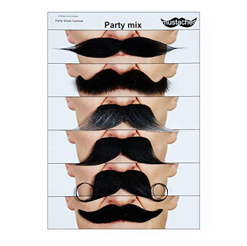 Bigodes Auto Adesivo Falso Mistura De Bigode Falso, Novidade, Falso Pacote De Valor Facial (6pcs.)