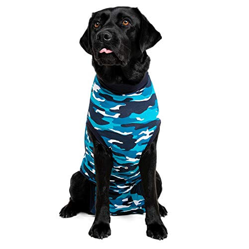 Cão De Recuperação Adequado, Média Plus, Camuflagem Azul