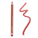 Gabriel Cosmetics Classic Lip Liner (spice - Orange Brown/ Warm), Lipliner Clássico, Natural, Paraben Free, Vegan, Sem Glúten, Sem Cruelda