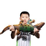 Vida Selvagem Crocodilo Do Nilo Figura Crocodilo Modelo Brinquedo, Crianças Gif