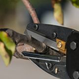 Multifunções Alicate Três-em-um Ferramentas De Jardim Straight Bran
