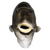 Truque Brinquedo Para Crianças / Adultos Máscara De Peixe Realista Aliviar O Estresse