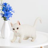 Simulação Animal Brinquedos Estatuetas Casa Decorar Pré-escolar Edu