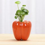 Mini Floreira De Pimenta Verde De Rabanete Verde,