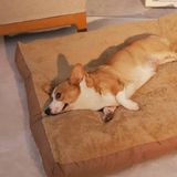 Tapete De Cachorro Removível E Lavável De Inverno, Colchão De Estimação,