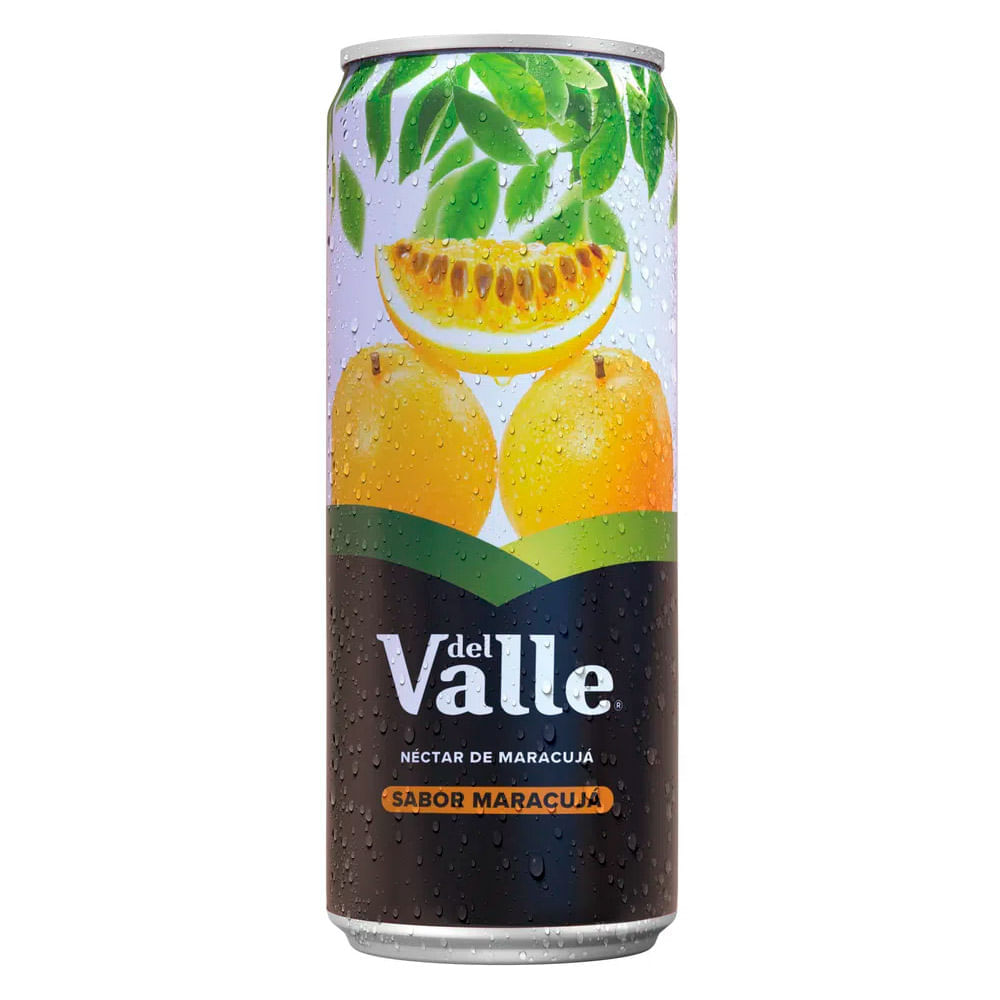 Suco Del Valle Néctar Maracujá Lata 290ml - Carrefour