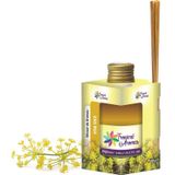 Aromatizador Difusor De Ambiente 250ml Erva Doce Com Palitos