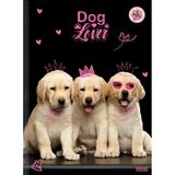 Caderno Brochura 1/4 Capa Dura My Pets 80f