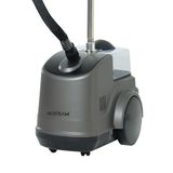Vaporizador De Roupas Profissional Neosteam Ns-2 - 127v