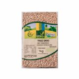 Trigo Em Grãos Orgânico Coopernatural 1kg