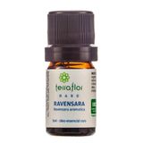 Óleo Essencial Natural De Ravensara 5ml - Terra Flor