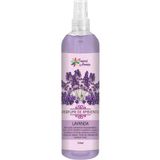 Aromatizador De Ambiente Perfume 240ml Lavanda Cheirinho