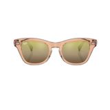 Óculos De Sol Ray Ban Rb0707sm 6449g7