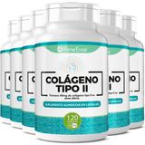 Kit 6 Colágeno Tipo 2 Tipo Il Saúde Articulações 120 Cápsula