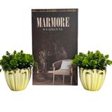 Kit Decoração Livro Mármore + 2 Vasos De Vidro Dourado