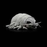 Vida Real Cinza Bathynomus Giganteus Pelúcia Brinquedo Profundidade Gigante Oc