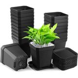 Potes De Propagação 7 X 7 X 8 Cm, Pacote De 20 Potes De Plantas Com Pires, Vasos De Flores Espessados Quadrados De Plástico Quadrados Potes