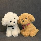22cm Simulação De Pelúcia Cão Pelúcia Brinquedo Bell Collar Doll-branco