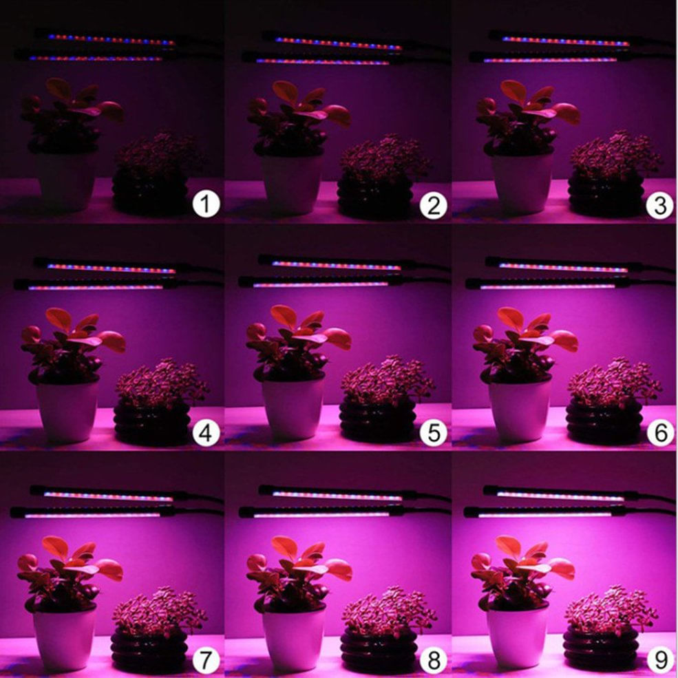 Led Grow Light Hidroponic Plantas Lâmpada Bloom Flor Cabeça Cheia