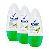 Kit 3 Desodorante Antitranspirante Rexona Feminino Roll On Bamboo E Aloe Vera 50ml