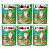 Kit 6 Ração Para Gatos Kitekat Adulto Sabor Peixe 70g