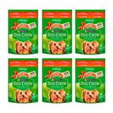 Kit 6 Ração Para Cães Dog Chow Adulto Raças Pequenas Sachê Sabor Carne Ao Molho 100g