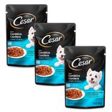 Kit 3 Ração Úmida Para Cachorro Cesar Adulto Sabor Cordeiro Assado Em Sachê 85g