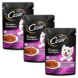 Kit 3 Ração Úmida Para Cachorro Cesar Adulto Sabor Filé Mignon Em Sachê 85g