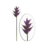 Haste em plástico Brilliance Heliconia Fox 106cm roxo