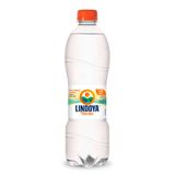 Água Mineral Lindoya Verão Com Gás 510ml