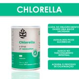 Suplemento Alimentar Chlorella 530mg 240 Cápsulas   - Ocean Drop