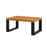 Mesa De Centro F13 Industrial Mdf Freijó/preto Pradel Móveis