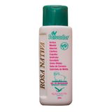 Gel Massageador Refrescante Salvador 200g - Rosa Nativa