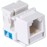 Tomada para Transmissão de Dados RJ 45 Categoria 6 Tramontina Tramontina