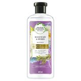 Shampoo Herbal Essences Bio:renew Alecrim E Ervas 400ml