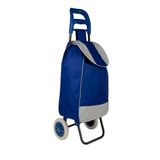Carrinho De Compras Azul Leve Tudo Feira Mercado Praia