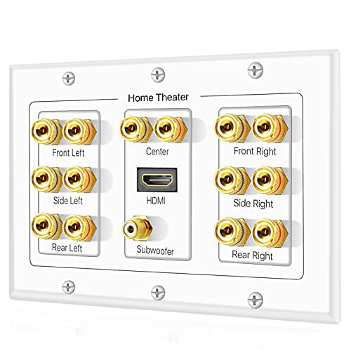 Tnp Home Theater Speaker Wall Plate Outlet - 7.1 Surround Sound Audio Distribution Panel, Gold Plated Copper Banana Plug Binding Post Couple