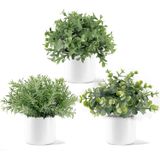 Plantas Falsas Em Vaso De Cerâmica 3 Pack Potted Eucalipto Artificial