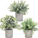 3 Pack Mini Vasos De Plantas Falsas Eucalipto Alecrim Boxwood A