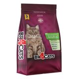 Ração Seca Br4 Cats Arroz E Frango Para Gatos Castrados - 3 Kg