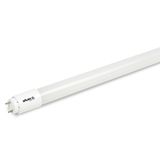 LAMPADA LED TUBULAR 10W 6500K BIV