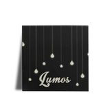 Quadro Decorativo Harry Potter Lumos