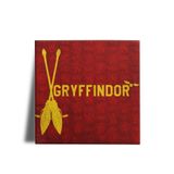 Quadro Decorativo Harry Potter Grifinória Quadribol