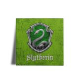 Quadro Decorativo Harry Potter Slytherin