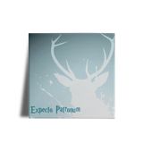 Quadro Decorativo Harry Potter Expecto Patronum